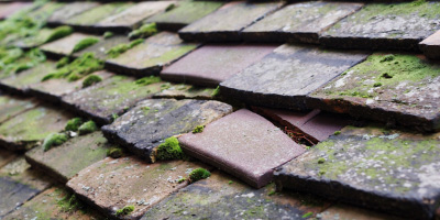 Woodstock roof repair costs